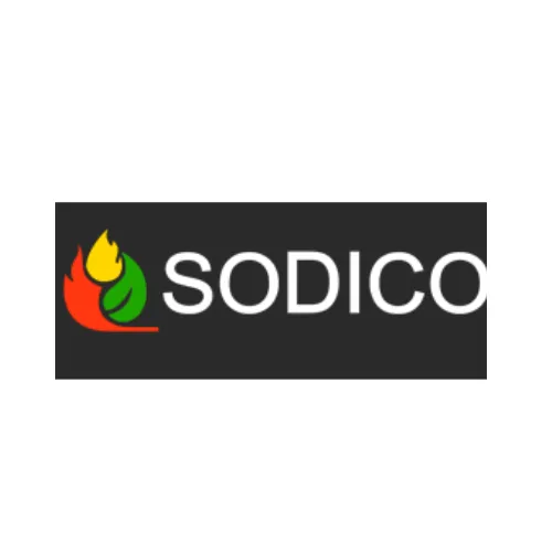 bruz cheminee electrique